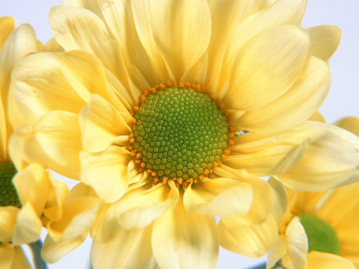 426292 (a): :1600x1200